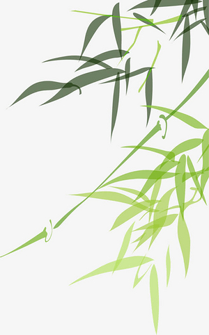 扁平竹子竹叶侧边装饰